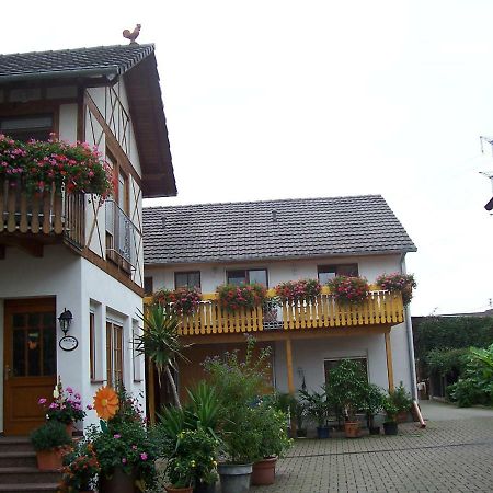 Wittenweier Meyerhof 아파트 외부 사진