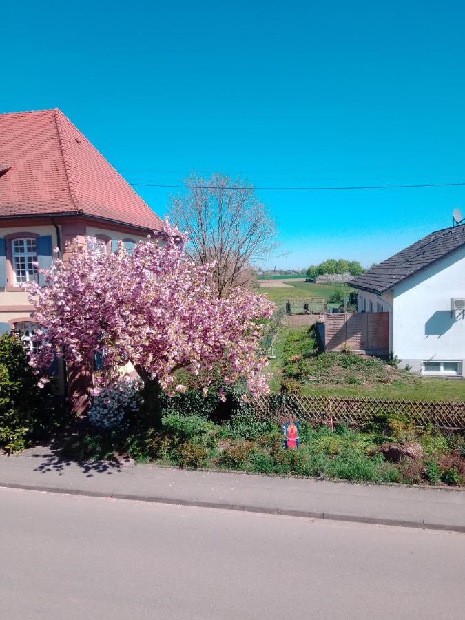 Wittenweier Meyerhof 아파트 외부 사진