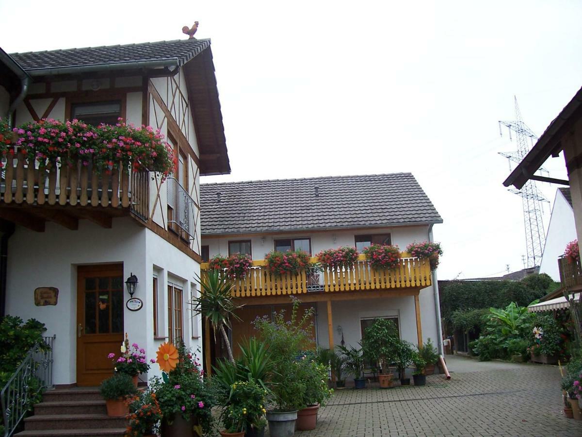 Wittenweier Meyerhof 아파트 외부 사진